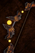 Obsidian Bow.png