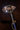 Wolf Mace.png