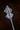 Forged Glass Mace.png