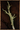 Mage's Poking Stick.png