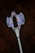 Forged Glass Greataxe.png
