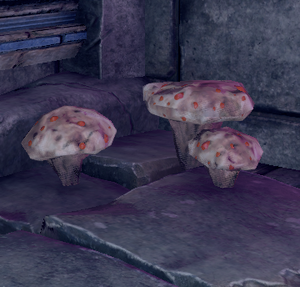 Blood Mushroom (Gatherable).png