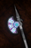 Forged Glass Halberd.png