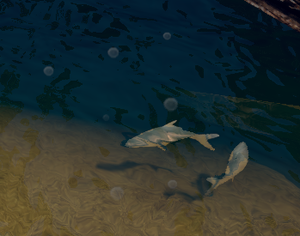 Fishing Spot.png