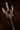 Wolf Spear.png