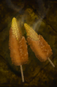 Battered Maize.png