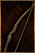 Simple Bow.png