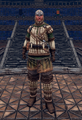 Padded Armor Set.png