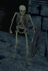 Animated Skeleton - Skeleton Shield.png