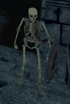 Animated Skeleton - Skeleton Shield.png