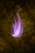 Elemental Particle – Fire.png